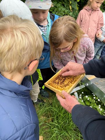 Kinder bei den Grashüpfern